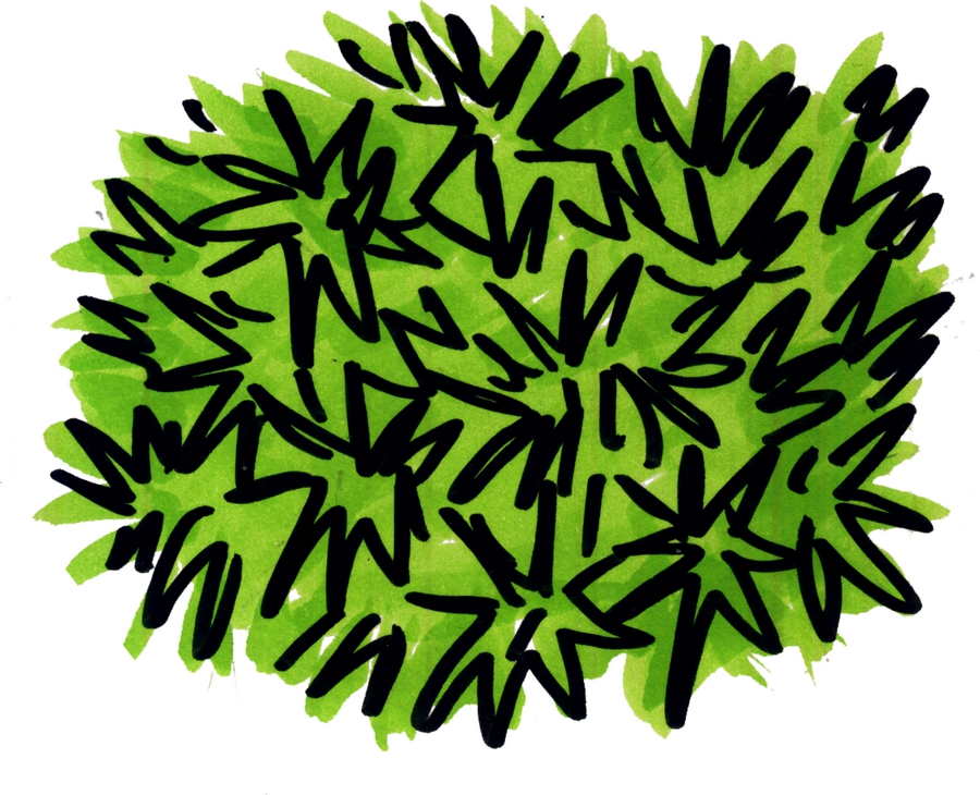 2016 Comic grasnarbe rund01 web