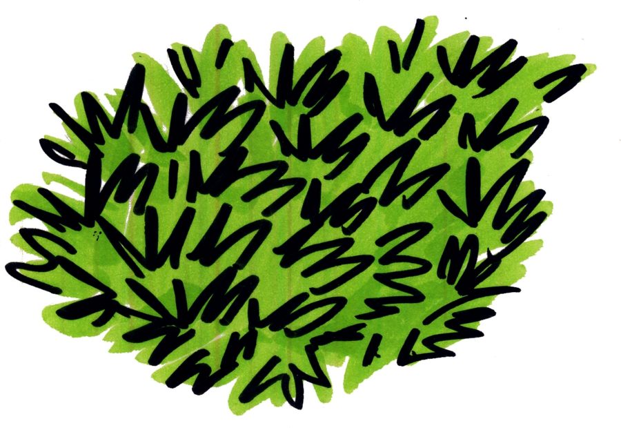 2016 Comic grasnarbe rund02 web