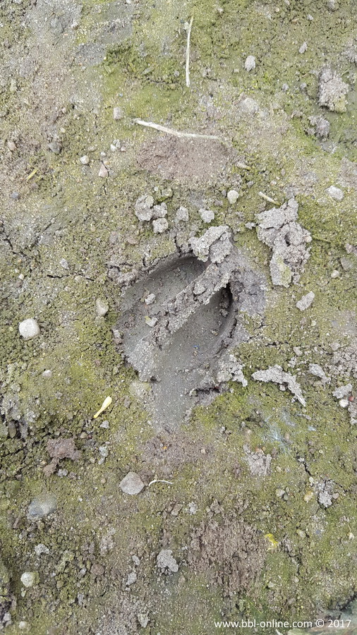 Foto: Patrick Zechel