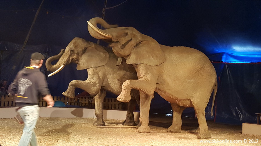 Foto: Patrick Zechel