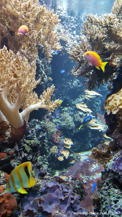 Foto: Patrick Zechel