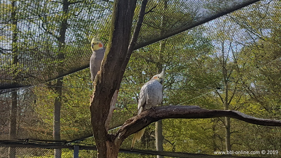 Foto: Patrick Zechel