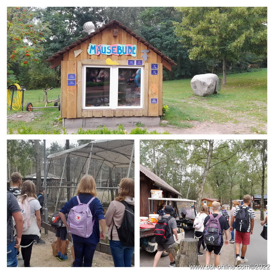 Foto: Kimberly Kmieciak