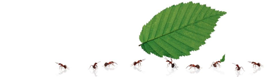 2016 05 11 Edmund Rehwinkel Stiftung