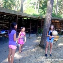 2013_arendsee_sa5_022_prot