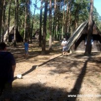 2013_arendsee_sa5_023_prot
