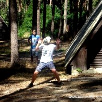 2013_arendsee_sa5_024_prot