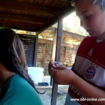 2013_arendsee_sa5_032_prot