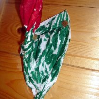 2013_arendsee_sa5_034_prot