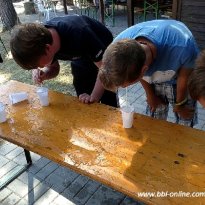 2013_arendsee_sa5_038_prot