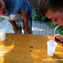 2013_arendsee_sa5_039_prot