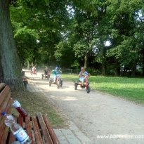 2013_arendsee_sa5_069_prot