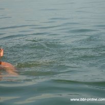 2013_arendsee_sa5_097_prot