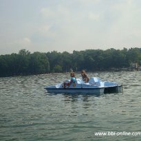 2013_arendsee_sa5_098_prot