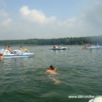 2013_arendsee_sa5_110_prot