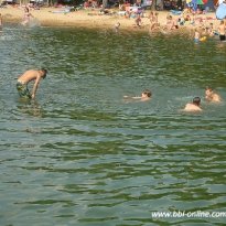 2013_arendsee_sa5_113_prot