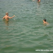 2013_arendsee_sa5_115_prot