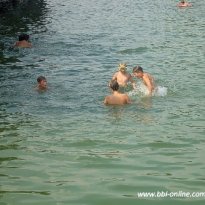 2013_arendsee_sa5_116_prot
