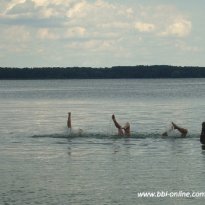 2013_arendsee_sa6_036_prot