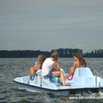2013_arendsee_sa6_043_prot
