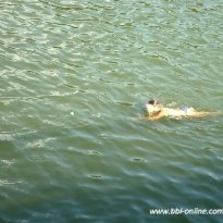 2013_arendsee_sa6_064_prot
