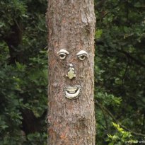 dscf1766
