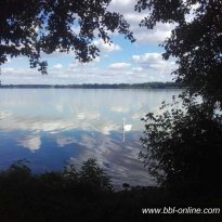 2016_arendsee_sa5_054_prot