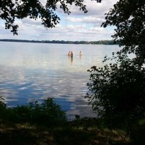 2016_arendsee_sa5_056_prot