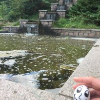 2016_arendsee_sa5_058_prot